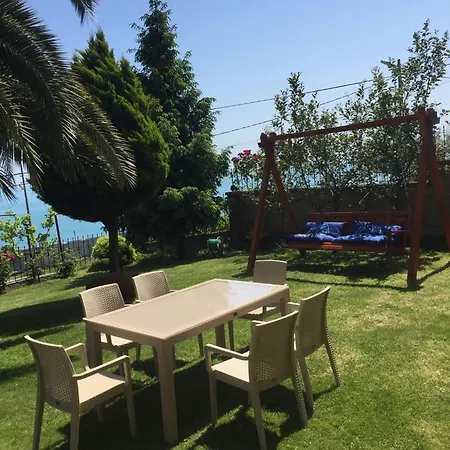 Mersin 61 Trabzon