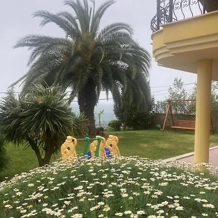 Mersin 61 * Trabzon
